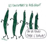 Concombres tueurs : les concombres se rebiffent