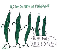Concombres tueurs : les concombres se rebiffent