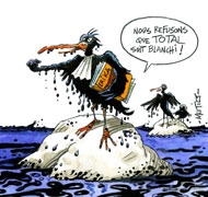 Naufrage de l'Erika: La procédure bientôt annulée, Total blanchi?