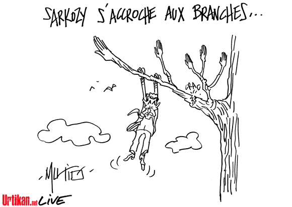 Branches pourries