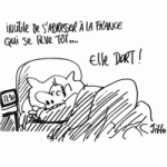 C'est long... et même pas bon.