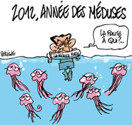 La nouvelle météo des méduses