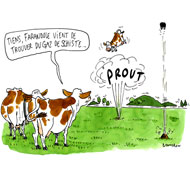 Hollande ferme la porte aux gaz de schiste