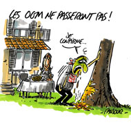 OGM : la France défendra l'interdiction si le risque est vérifié