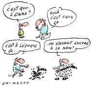 Total déclaré responsable et coupable pour la catastrophe de l'Erika