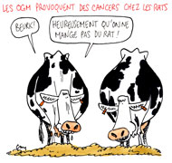 OGM : comment être sûr de ne pas en manger ?