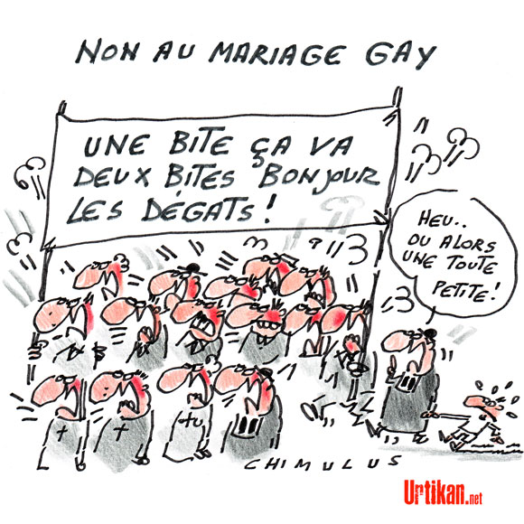 Mariage Gay : le couple Copé-Fillon, c'est pas pour tout de suite