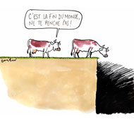 La fin du Monde, c'est vache !