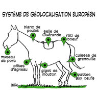 Viande de cheval : les conclusions de l'enquête connues jeudi