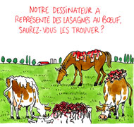 Viande de cheval : le scandale sanitaire s'étend