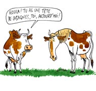 Il nous reste des lasagnes... Vous en reprenez encore ?