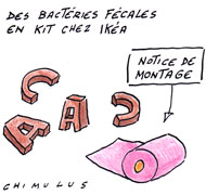 Des tartes Ikea contaminées aux bactéries fécales ?