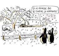 Neige : 16 villages coupés du monde en Normandie