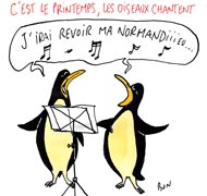 Le printemps est là, même en Normandie !