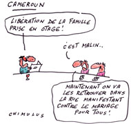 Otages au Cameroun: L'Elysée confirme la libération de la famille française - Dessin de Chimulus