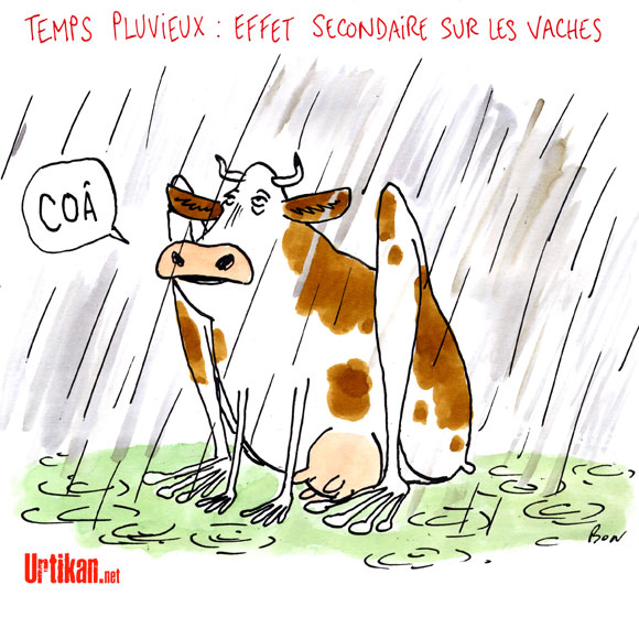 Dessin Du Jour De Cambon M t o Vers Le D but De La Fin Du Printemps Dessin Du Jour De Cambon M t o Vers Le D but De La Fin Du Printemps