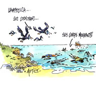 Lampedusa : plus de 300 corps retrouvés après le naufrage - Dessin du jour de Mutio
