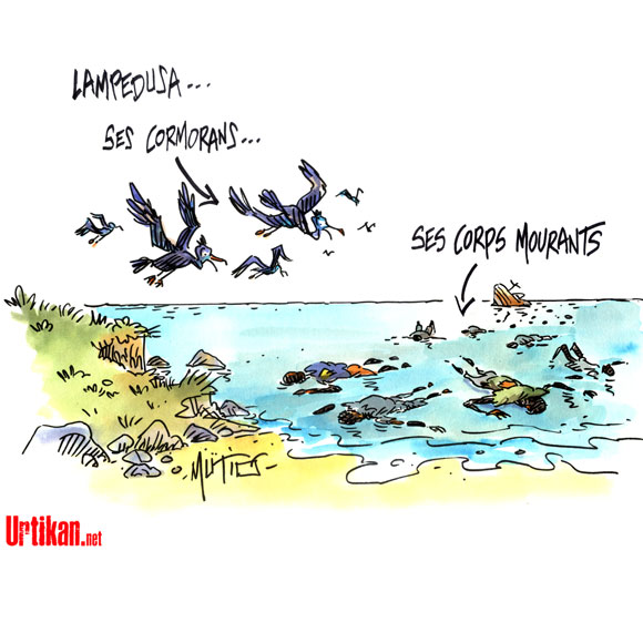 Lampedusa : plus de 300 corps retrouvés après le naufrage - Dessin du jour de Mutio