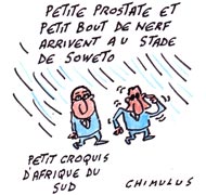 Hollande et Sarkozy s'affichent ensemble en Afrique du Sud - Dessin de Chimulus