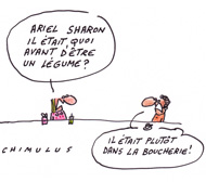 L'état de santé d'Ariel Sharon s'est brusquement aggravé - Dessin de Chimulus