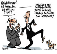 Un an de prison ferme pour le "lanceur de chat" - Dessin de Deligne