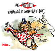 Jungle urbaine : Un girafon euthanasié dans un Zoo, Libération face à ses actionnaires… - Dessin de Mutio