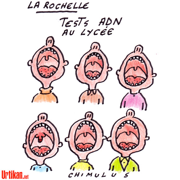 Prélèvements d'ADN à La Rochelle : "Le violeur est peut-être dans le lycée" - Dessin de Chimulus