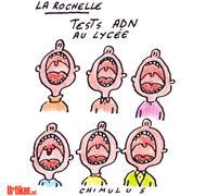 Prélèvements d'ADN à La Rochelle : "Le violeur est peut-être dans le lycée" - Dessin de Chimulus