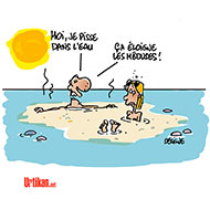 Nouvelle invasion de méduses sur la Côte d'Azur - Dessin de Deligne