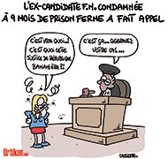 C'est pas a un vieux singe...- Dessin de Lasserpe