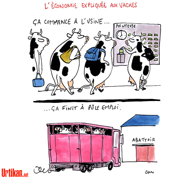 Nous ne boirons pas le lait des 1.000 Vaches ! - Dessin de Cambon