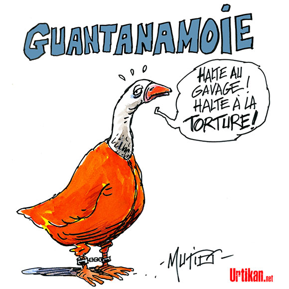 gavage-oie-guantanamo-dessin-de-mutio