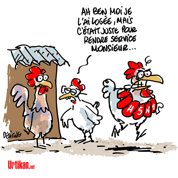  Un cas de grippe aviaire H5N1 découvert en Dordogne - Dessin de Deligne