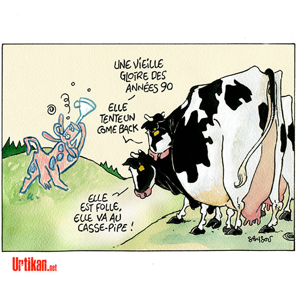 Le retour de la vache folle en France - Dessin de Samson