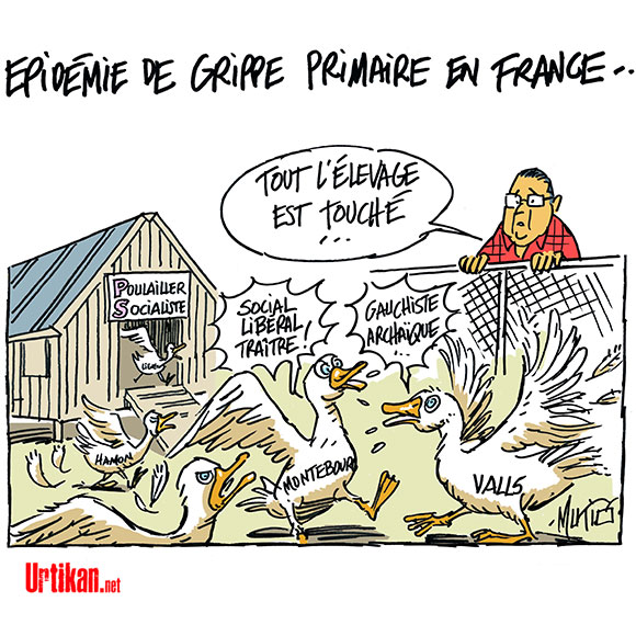  Grippe aviaire : la France relève son niveau de risque - Dessin de Mutio