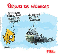 Retour de vacances